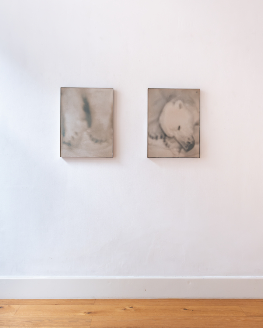 Installation shot from "New Perspectives" at gallery Helder, The Hague