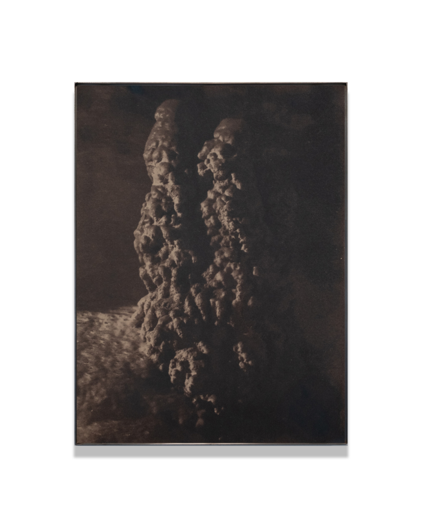 Like a sculptur'd thing of stone, 2024. Oak bark toned cyanotype in stainless steel frame, 61 x 46 cm.