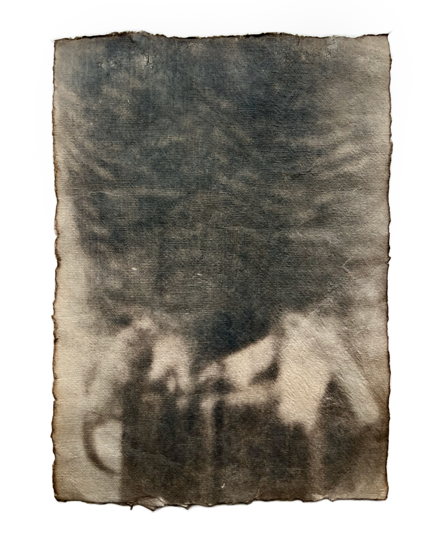 Ravenous Desire to Prey upon the Soft-wooled, 2024. Toned Cyanotype on Kozo paper, 36 x 26 cm